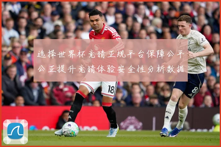 选择世界杯竞猜正规平台保障公平公正提升竞猜体验安全性分析数据研判-深度解析