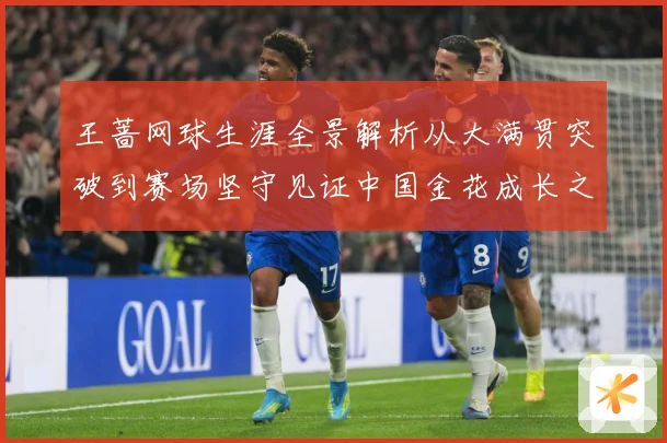 王蔷网球生涯全景解析从大满贯突破到赛场坚守见证中国金花成长之路-深度解析