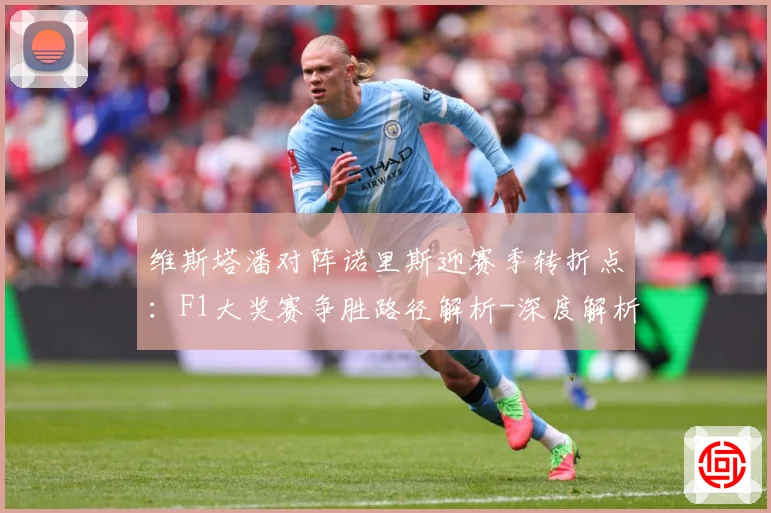 维斯塔潘对阵诺里斯迎赛季转折点：F1大奖赛争胜路径解析-深度解析
