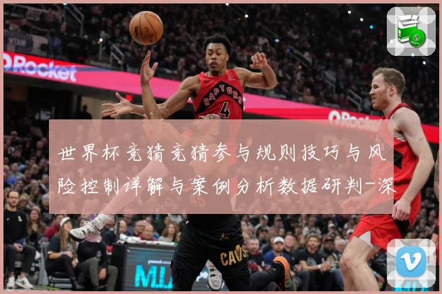 世界杯竞猜竞猜参与规则技巧与风险控制详解与案例分析数据研判-深度解析