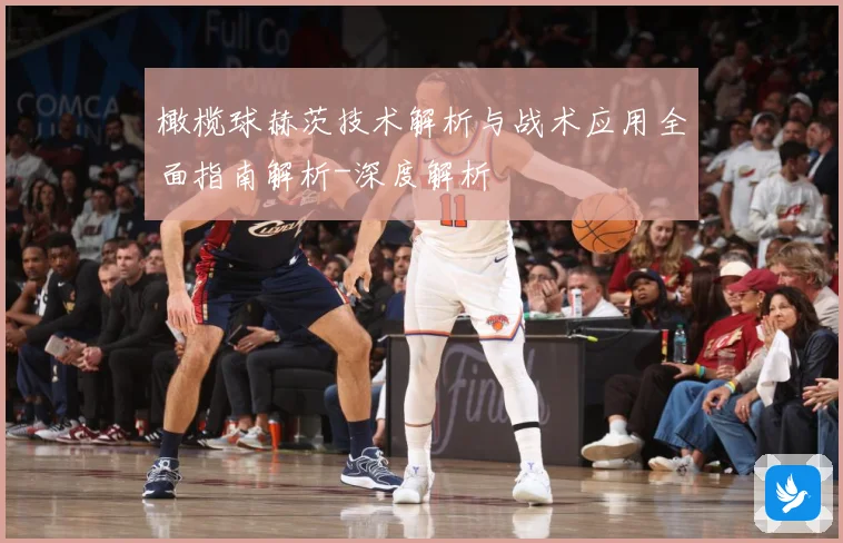 橄榄球赫茨技术解析与战术应用全面指南解析-深度解析