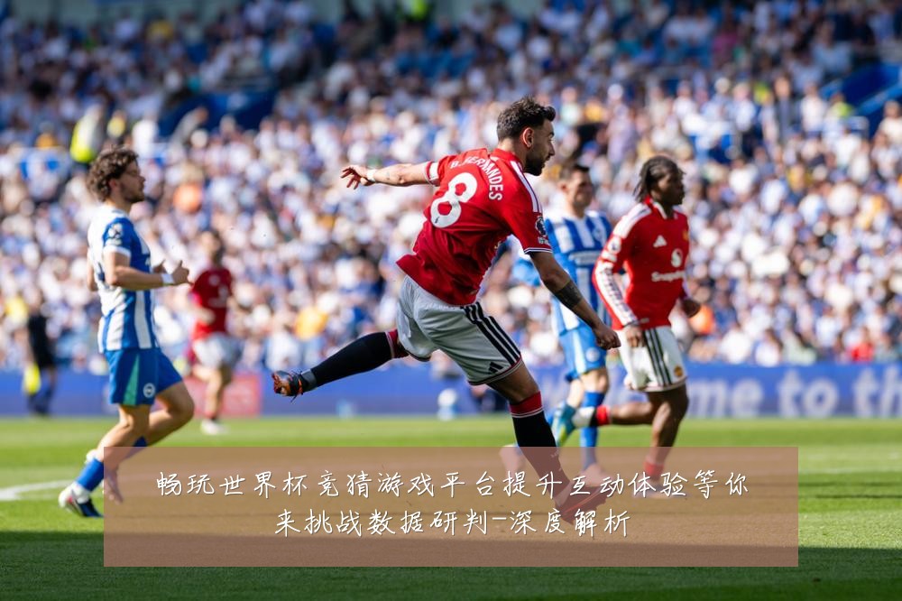 畅玩世界杯竞猜游戏平台提升互动体验等你来挑战数据研判-深度解析