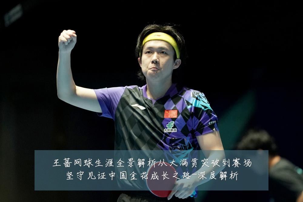 王蔷网球生涯全景解析从大满贯突破到赛场坚守见证中国金花成长之路-深度解析
