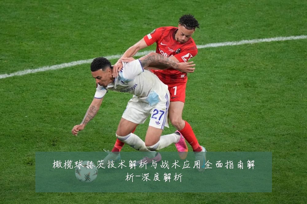 橄榄球赫茨技术解析与战术应用全面指南解析-深度解析