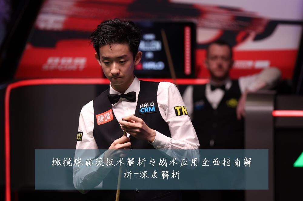 橄榄球赫茨技术解析与战术应用全面指南解析-深度解析
